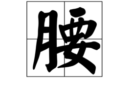 “月”字旁的字和什么有关？