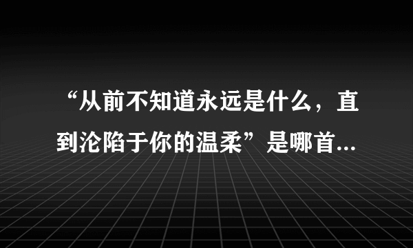 “从前不知道永远是什么，直到沦陷于你的温柔”是哪首歌的歌词？