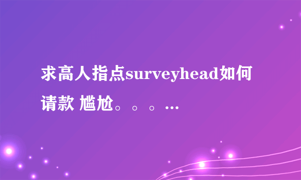 求高人指点surveyhead如何请款 尴尬。。。。。谢谢了，大神帮忙啊