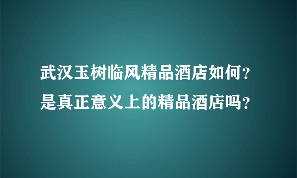 武汉玉树临风精品酒店如何？是真正意义上的精品酒店吗？