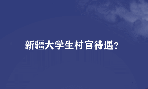 新疆大学生村官待遇？