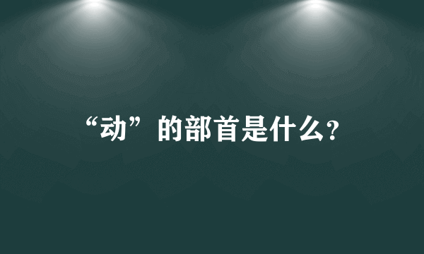 “动”的部首是什么？