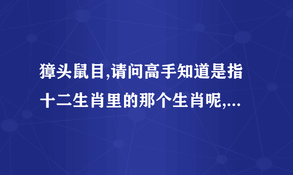 獐头鼠目,请问高手知道是指十二生肖里的那个生肖呢,请解一下为什么