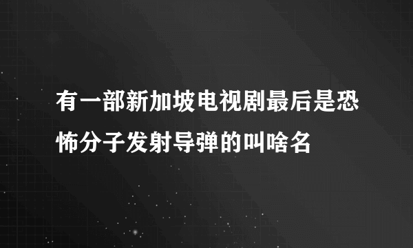 有一部新加坡电视剧最后是恐怖分子发射导弹的叫啥名