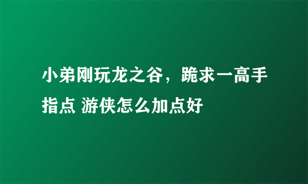 小弟刚玩龙之谷，跪求一高手指点 游侠怎么加点好