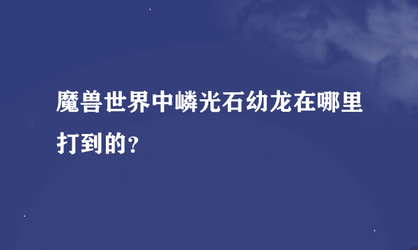 魔兽世界中嶙光石幼龙在哪里打到的？