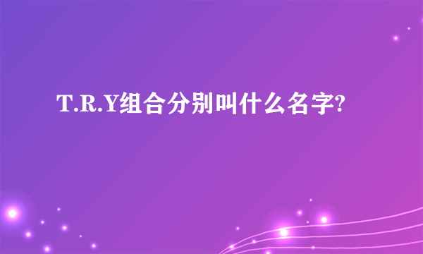 T.R.Y组合分别叫什么名字?