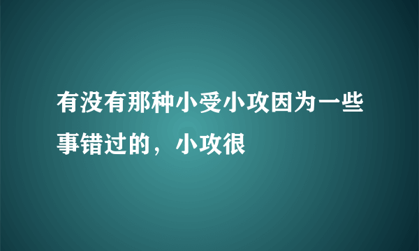 有没有那种小受小攻因为一些事错过的，小攻很