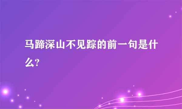 马蹄深山不见踪的前一句是什么?