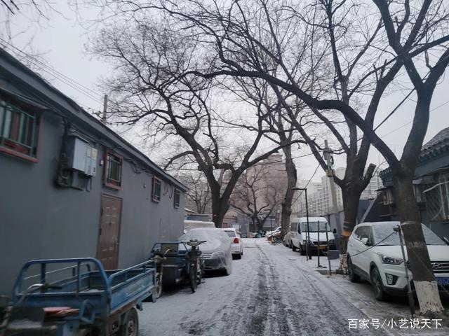 北京2022年的初雪，放大100倍是什么样子?