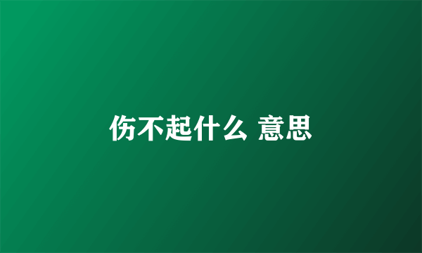 伤不起什么 意思