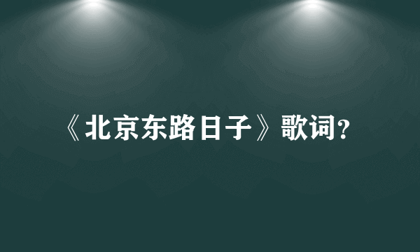 《北京东路日子》歌词？