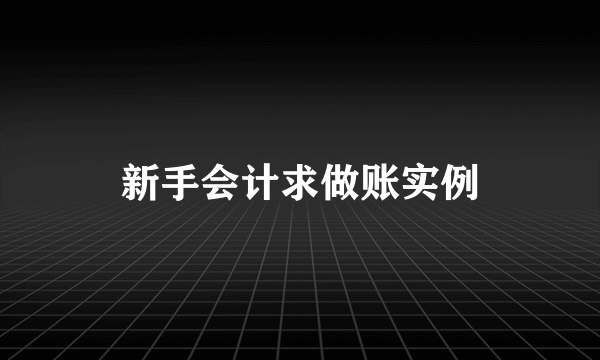 新手会计求做账实例