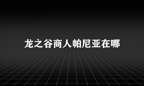 龙之谷商人帕尼亚在哪