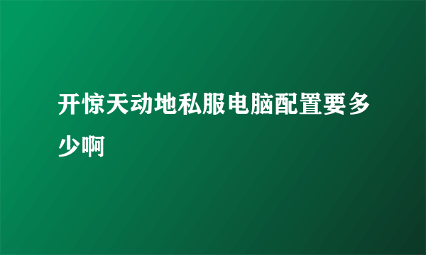 开惊天动地私服电脑配置要多少啊