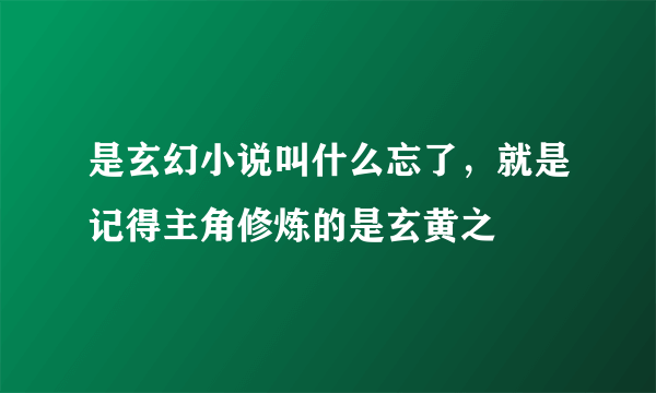 是玄幻小说叫什么忘了，就是记得主角修炼的是玄黄之