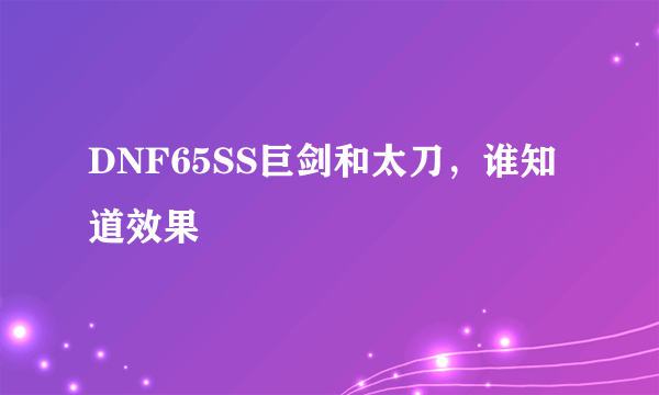 DNF65SS巨剑和太刀，谁知道效果