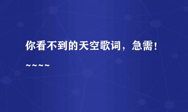 你看不到的天空歌词，急需！~~~~