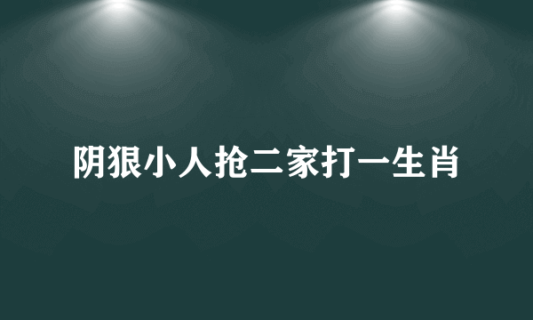 阴狠小人抢二家打一生肖