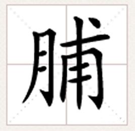 “月”字旁的字和什么有关？