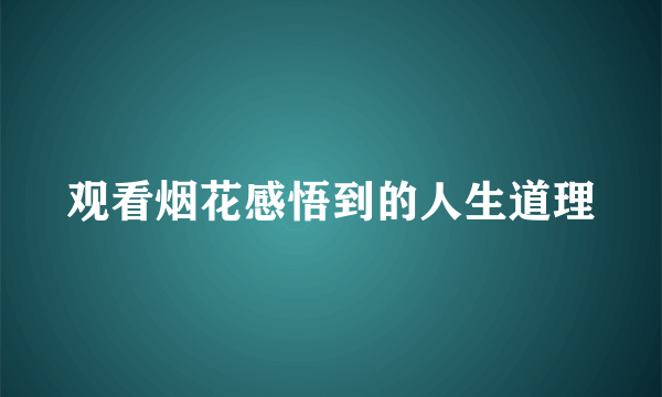 观看烟花感悟到的人生道理