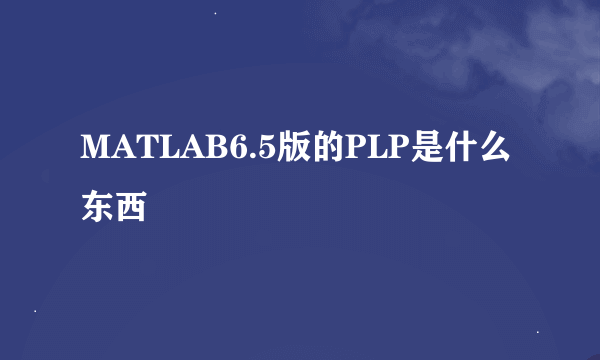 MATLAB6.5版的PLP是什么东西