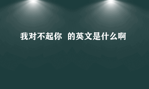 我对不起你  的英文是什么啊