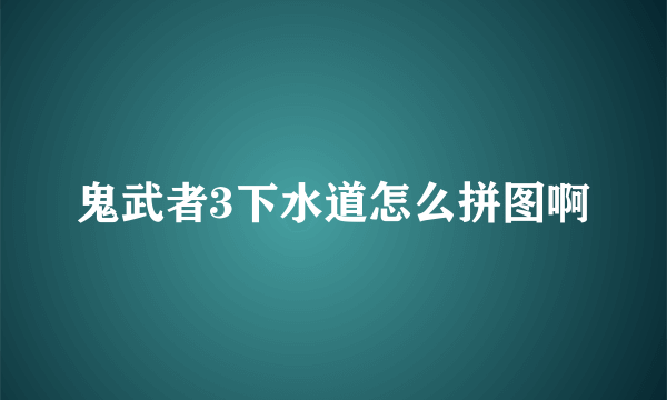 鬼武者3下水道怎么拼图啊