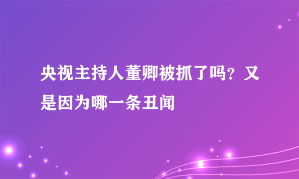 央视主持人董卿被抓了吗？又是因为哪一条丑闻