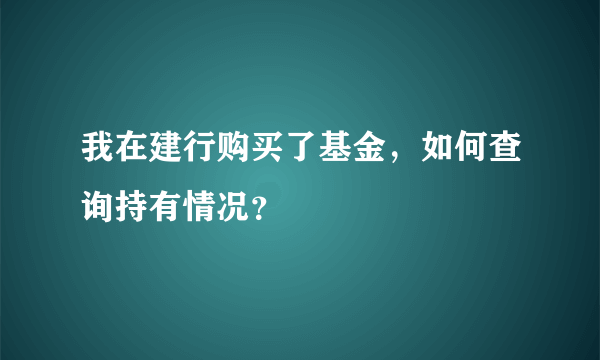 我在建行购买了基金，如何查询持有情况？