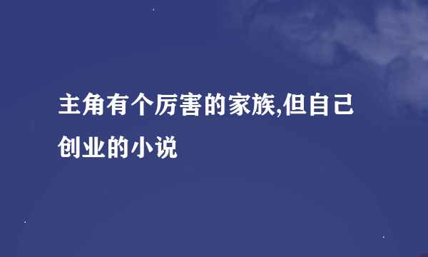 主角有个厉害的家族,但自己创业的小说