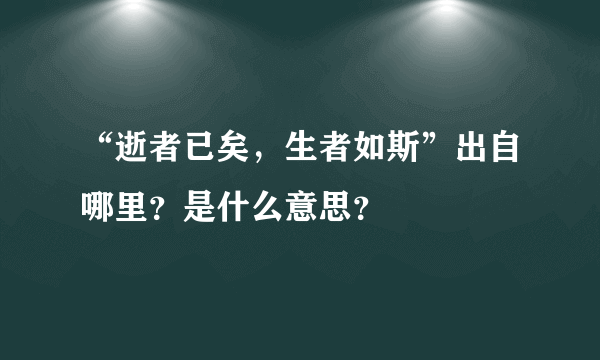 “逝者已矣，生者如斯”出自哪里？是什么意思？