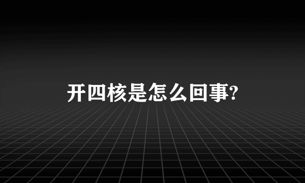 开四核是怎么回事?