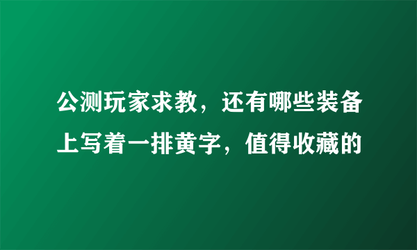 公测玩家求教，还有哪些装备上写着一排黄字，值得收藏的