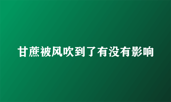 甘蔗被风吹到了有没有影响