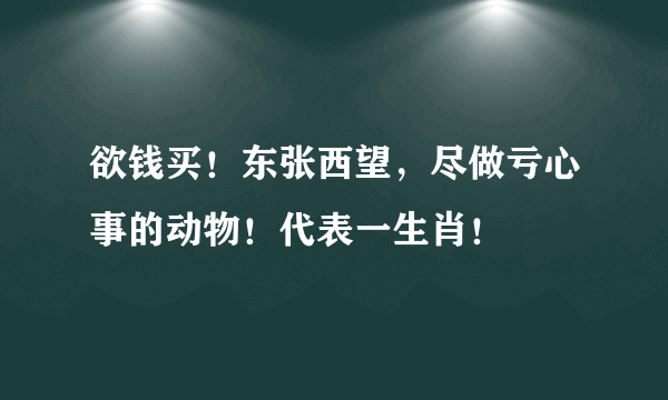 欲钱买！东张西望，尽做亏心事的动物！代表一生肖！