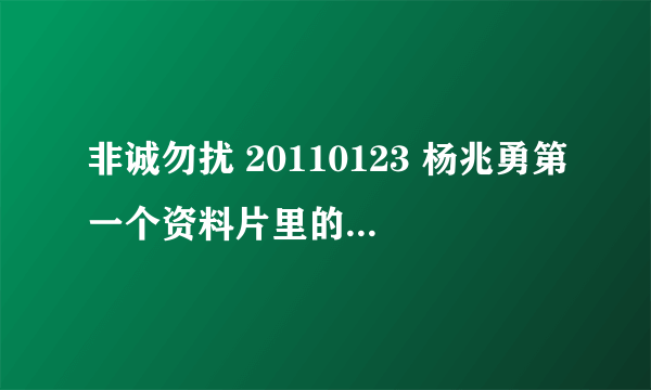 非诚勿扰 20110123 杨兆勇第一个资料片里的背景音乐是什么？