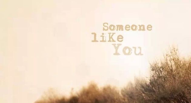 someone like you 的歌词大意