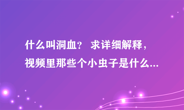 什么叫洞血？ 求详细解释，视频里那些个小虫子是什么东西啊？好恶心的说......