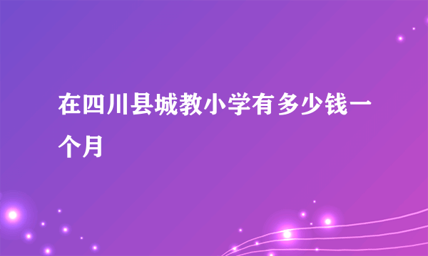 在四川县城教小学有多少钱一个月