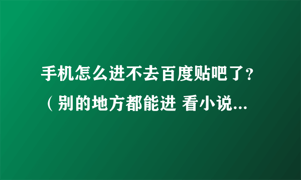 手机怎么进不去百度贴吧了？（别的地方都能进 看小说也不碍事 网页也ok）