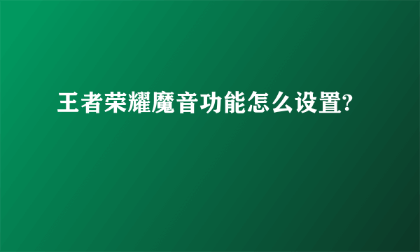 王者荣耀魔音功能怎么设置?