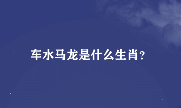 车水马龙是什么生肖？