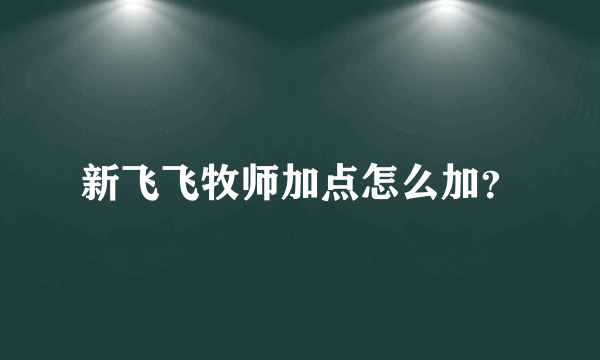 新飞飞牧师加点怎么加？