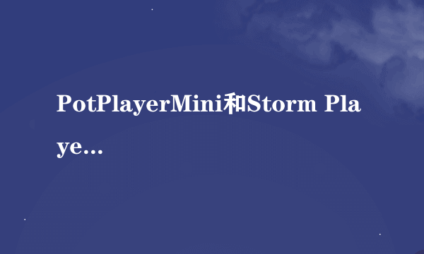 PotPlayerMini和Storm Player哪个比较好用？