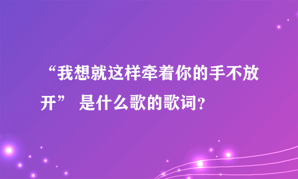 “我想就这样牵着你的手不放开” 是什么歌的歌词？