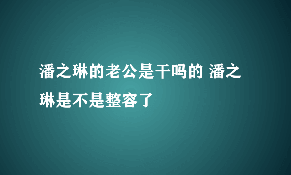 潘之琳的老公是干吗的 潘之琳是不是整容了