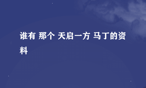 谁有 那个 天启一方 马丁的资料