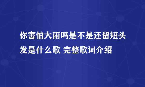 你害怕大雨吗是不是还留短头发是什么歌 完整歌词介绍