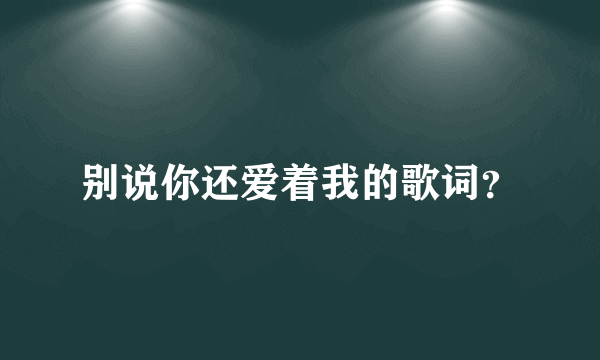 别说你还爱着我的歌词？